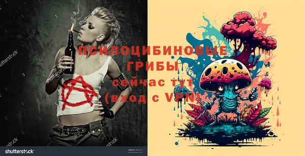 не бодяженный Алзамай