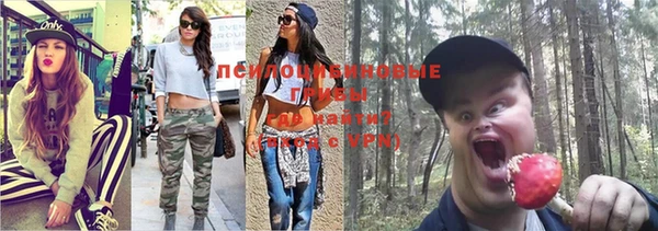 мет Кедровый