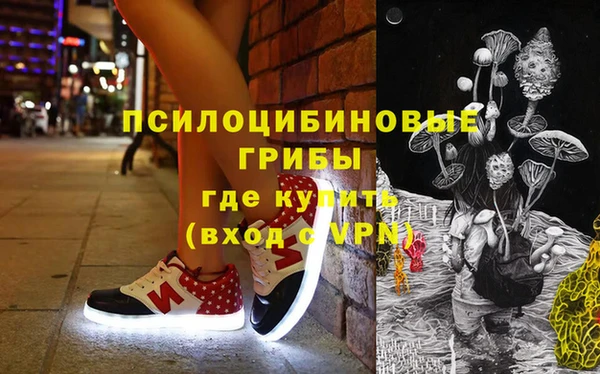 гидропоника Новозыбков