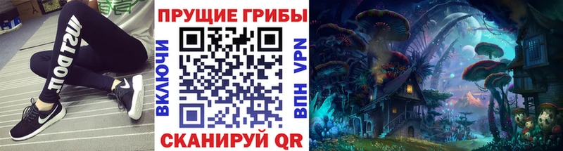 Галлюциногенные грибы Psilocybe Малоархангельск